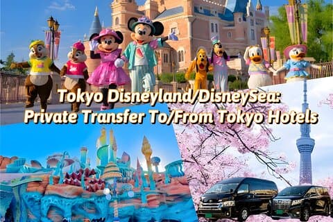 Tokyo Disneyland/DisneySea: Private Transfer To/From Tokyo Hotels