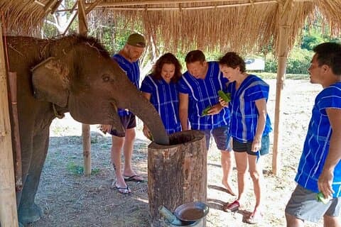 Chiang Mai 4 in 1 : 2 days - 1 Nights. Elephants Camp + Adventure