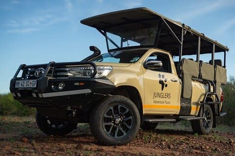 Safari privé d'une journée Big 5 à Kruger NP au départ de Hoedspruit
