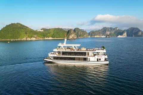 From Tuan Chau Port: Luxury Ha Long Bay Scenic Cruise with Buffet