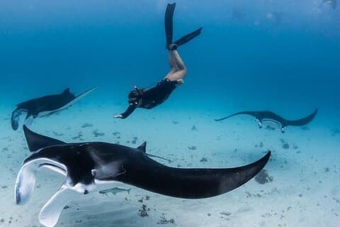 Nusa Penida One Day Trip with Snorkeling - All Inclusive