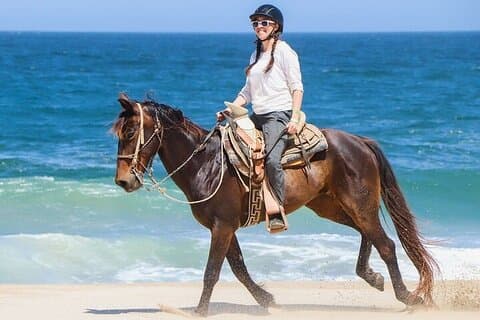 Sharm El Sheikh Cavalaria na praia