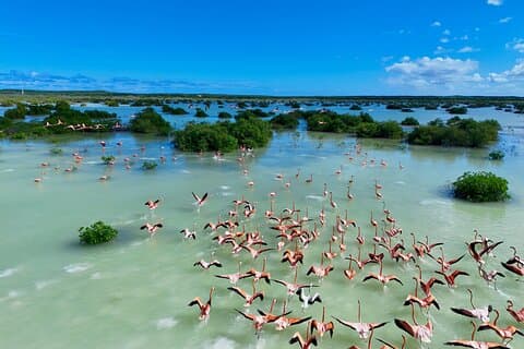 Norra och mellersta Caicos Island privat rundtur