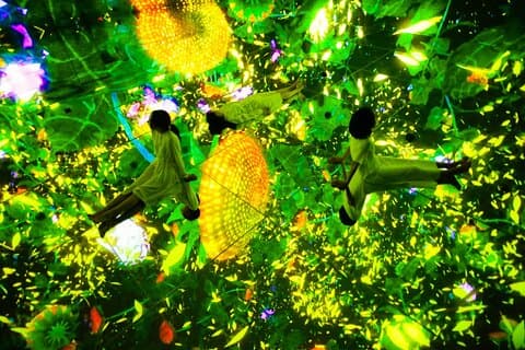 Inträdesbiljett till Team Lab Planets Tokyo