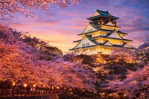 大阪・奈良カスタマイズ世界遺産プライベート日帰りツアー