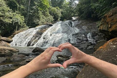 Sinharaja Regenwald Tagestour von Mirissa, Galle, Bentota Area
