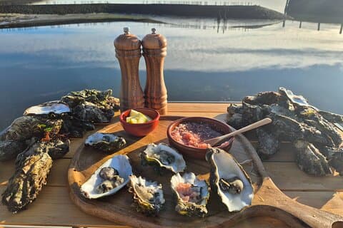 Zeeland wild oesters plukken met drankje / bbq