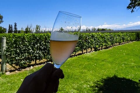 Wine and Sparkling Tour in Lujan de Cuyo from Mendoza