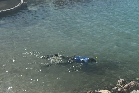 Coral Nursery Snorkeling Eco Adventure in La Paz