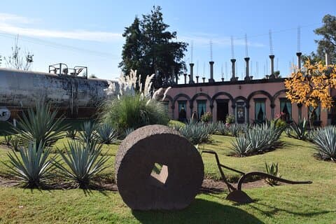 Experiencia Clásica Premium de Tequila en Cava de Oro