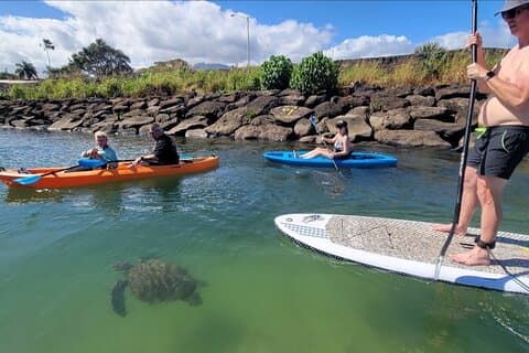 Excursion guidée en planche à pagaie et kayak sur la rivière Anahulu