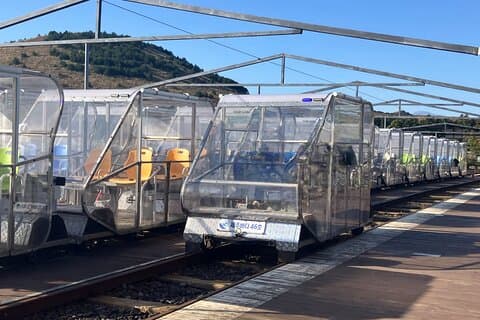 Customized Private Day Tour in Jeju