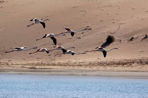 Agadir Off Road Safari in Nationaal Park