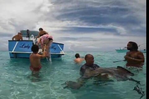 Stingray City Sandbar 3,5 horas Excursão de snorkel e Starfish Beach