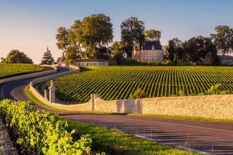 Halv dag i Médoc fra Bordeaux - 2 slotte og 6 vine