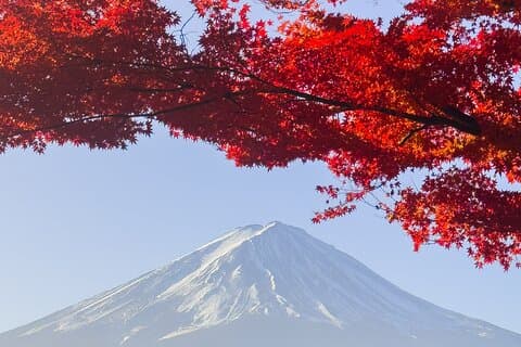 Inaka Excursions | Escape from Tokyo!