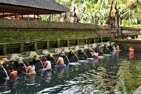 Ubud Private Tour - Guided Tour All Inclusive