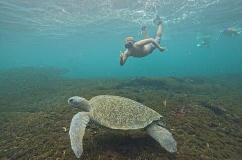Private Tour of 9 Bays of Huatulco to San Agustin
