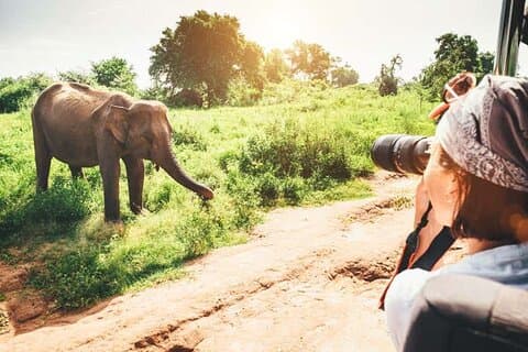 10 Tage authentische Sri Lanka Entdeckungstour