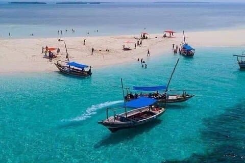 Pungume Island Private Tour with Snorkeling and Lunch