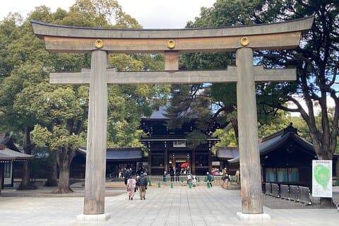 Meiji Jingu historisk tur og matprodusert tur i Tokyo