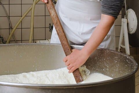 Clase de elaboración de queso Vico Equense con degustación