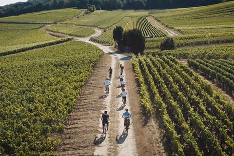 En dag i Champagne