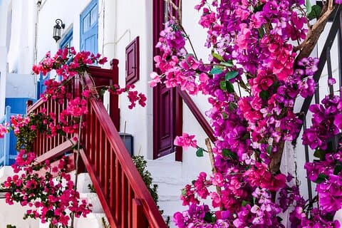 Mykonos Private Must-See Highlights Sightseeing Tour
