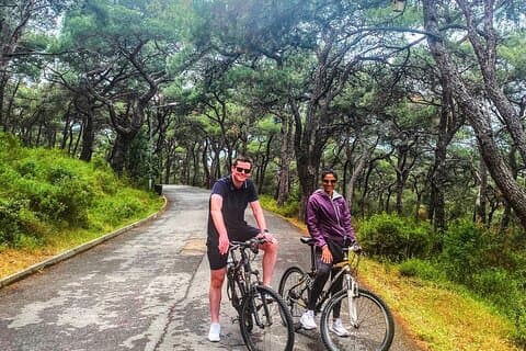 Nyd cykling i Büyükada: Frihed og udforskning