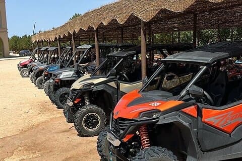 Billeder af Buggy Makadi Desert Trip