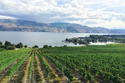 Zweitägige private Wein- und Fahrradtour Vancouver nach Kelowna