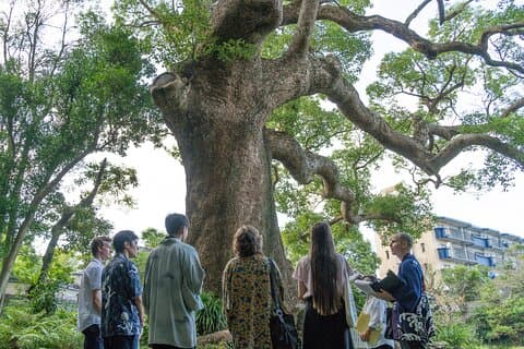 Exklusiv privat tur: Fukue Castle, Japans sista sjöslott