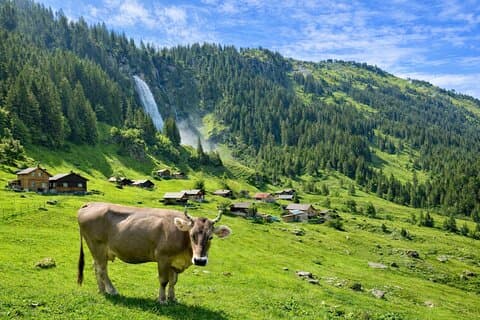 Alpine Food Tour from Zurich – Swiss Indulgence & Panorama