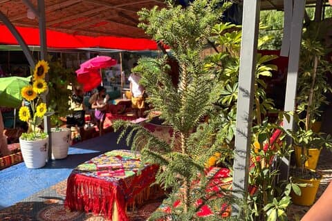 Escursione di un giorno sulle montagne dell'Atlante e sulla Valle di Ourika da Marrakech