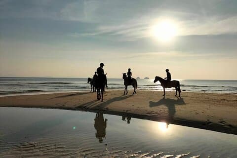 サムイ島の海岸で乗馬