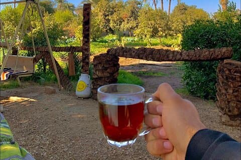 Besök på Luxor Farm med en uppfriskande dryckesupplevelse