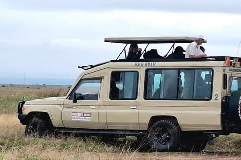 Escursione privata di un giorno al Parco Nazionale di Amboseli in Landcruiser 4x4