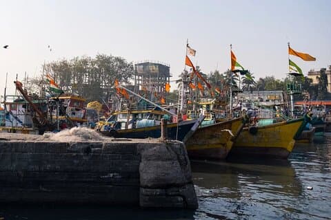 Mumbai By Down Tour: Laundry, City, Temple, Market with pickup