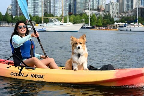 Vancouver Smooth klassieke kajaktour