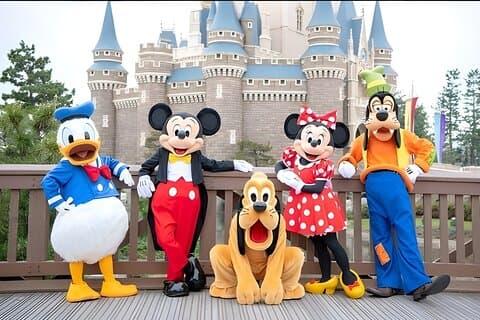 Entrada a Tokio Disneyland y traslados compartidos
