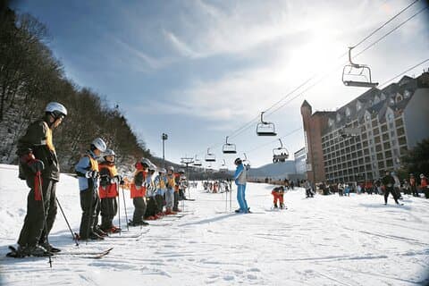 Korea Skitour ab Seoul - Jisan Resort mit Isaac Toast