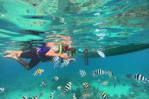 All inclusive: Schnorcheln in der Blauen Lagune und der Höhlentempel der Fledermäuse