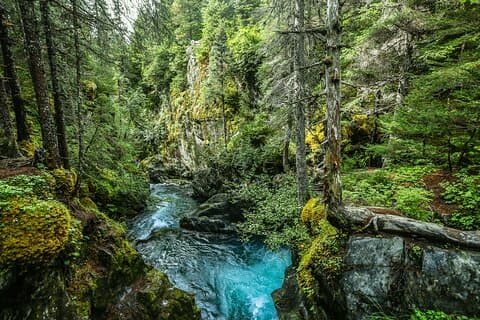 Anmeldelser af Anchorage–Homer Sterling Highway