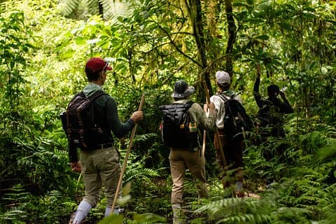 Sentier de randonnée du passage de la jungle à Bali