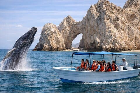 Hotell i nærheten av Arch, Lover's Beach & Whale Encounters
