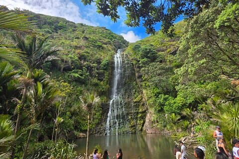 Private Auckland West Coast Karekare Falls, Rainforest and Piha