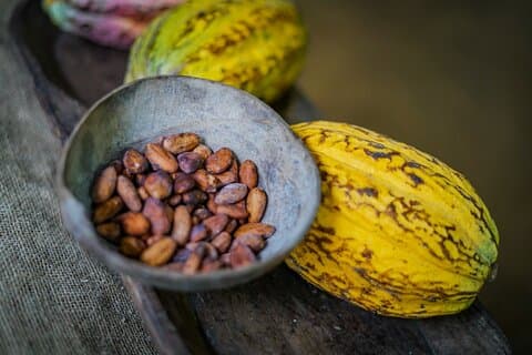 Tour 'cioccolatoso' della foresta pluviale da La Fortuna