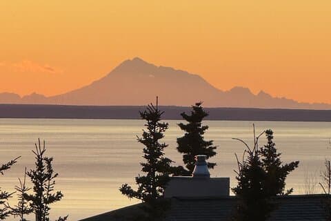 Full dag Anchorage Tour med Alaskan Guide