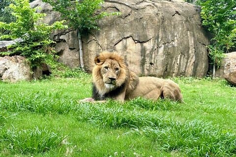 Audubon Zoo, Akvarium och Insectarium Combo biljett