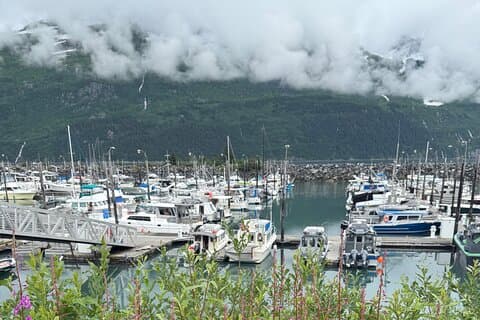 Whittier Drive e l'Alaska costiera avventura di un giorno intero